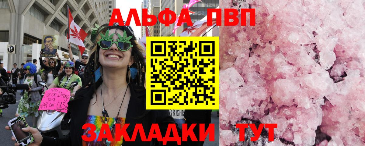 Альфа ПВП СК КРИС Балтийск