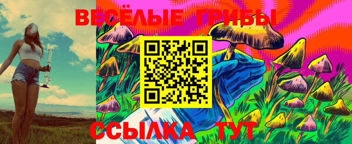 Галлюциногенные грибы ЛСД Балтийск