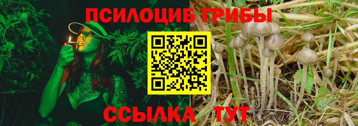 Псилоцибиновые грибы MAGIC MUSHROOMS  Псилоцибиновые грибы Psilocybine cubensis  Вход с VPN  Балтийск 